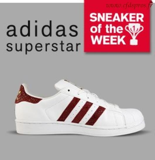 adidas superstar bordeaux femme