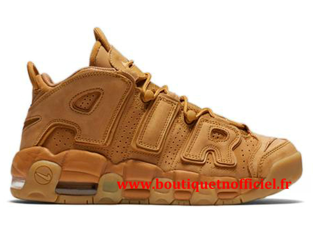 chaussure de basket nike pas cher